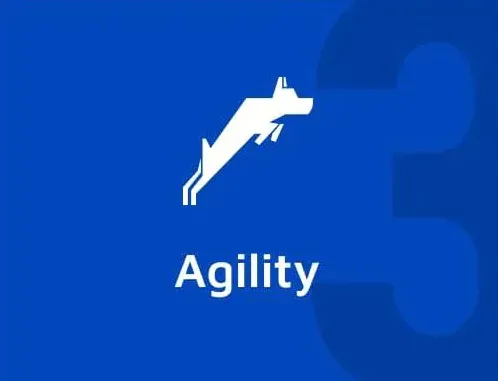 Agility training