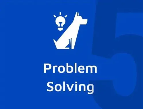 Problem solving training