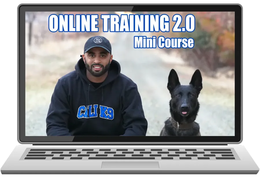 Online Training 2.0 Mini Course
