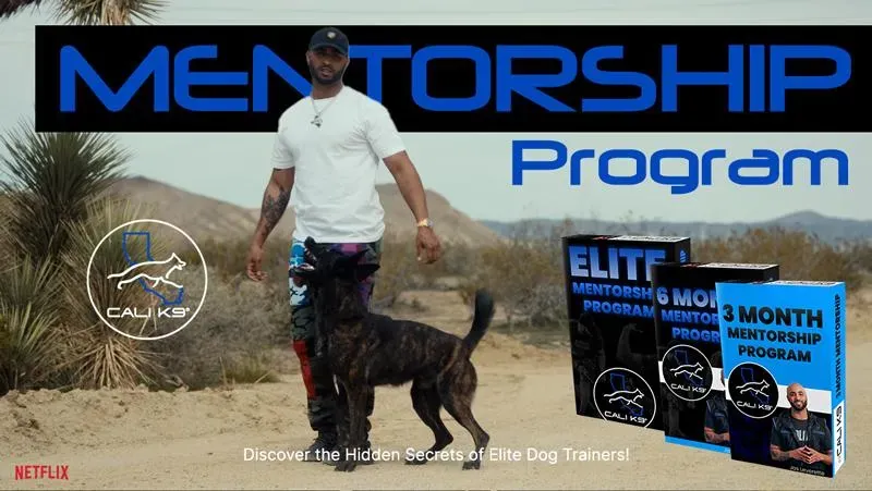Cali K9 Mentorship Program