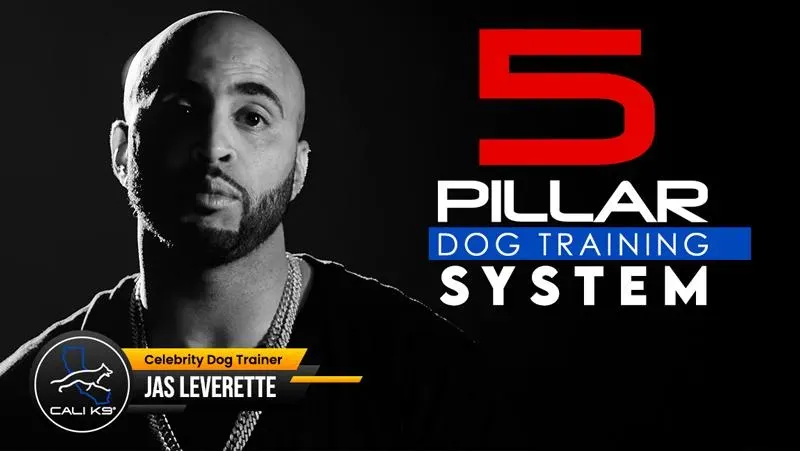 5 Pillar Dog Training System by Cali K9