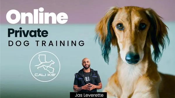 Online Private Training with Cali K9