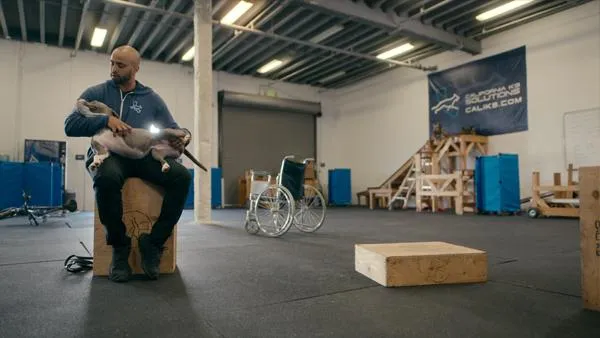 LA Times second article about Jas Leverette