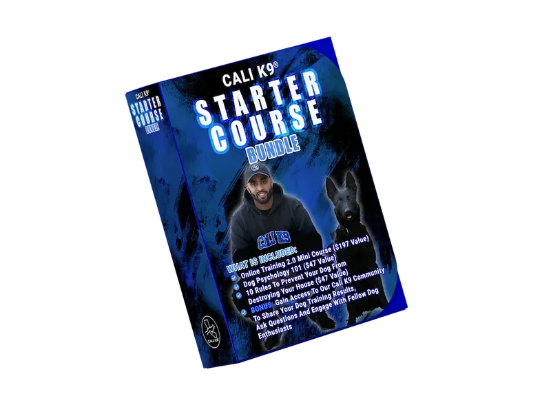 Starter Course Bundle — three courses in one package