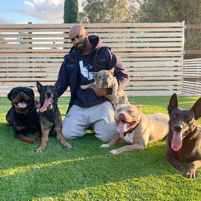 Cali K9 dog training in action