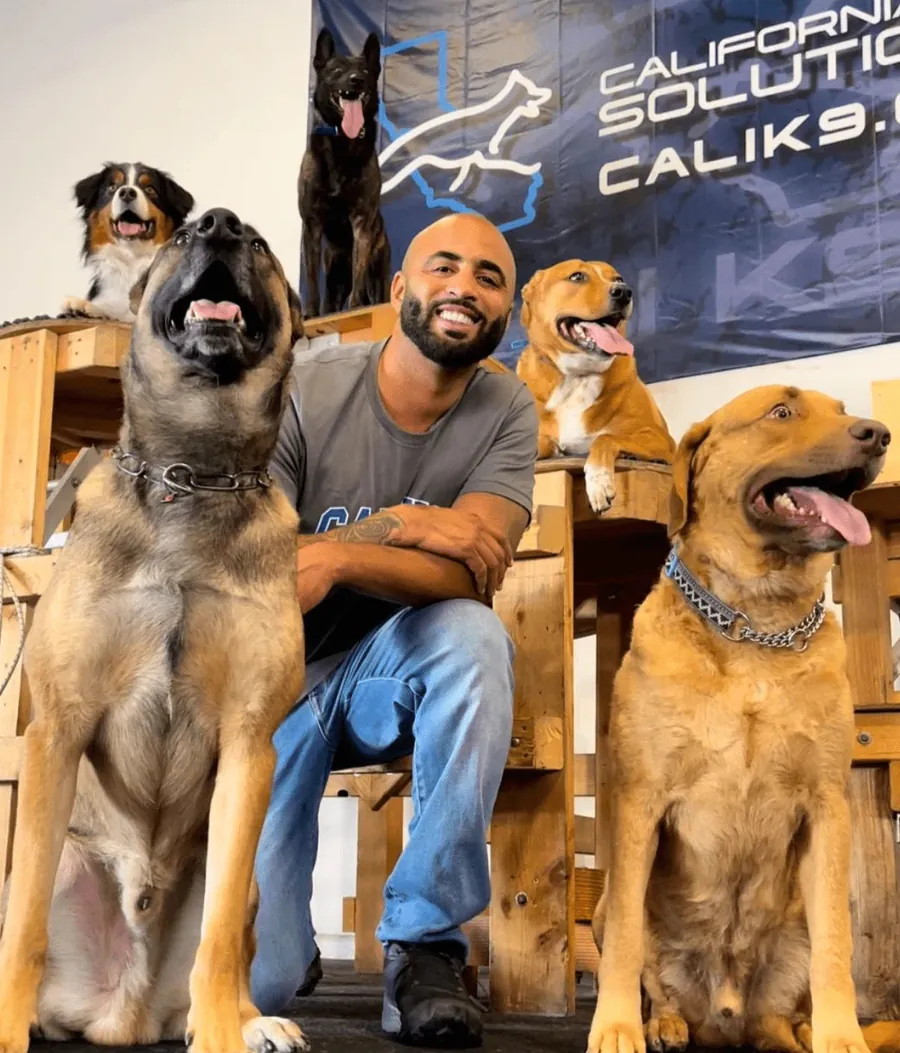 Jas Leverette with dogs during board and train program